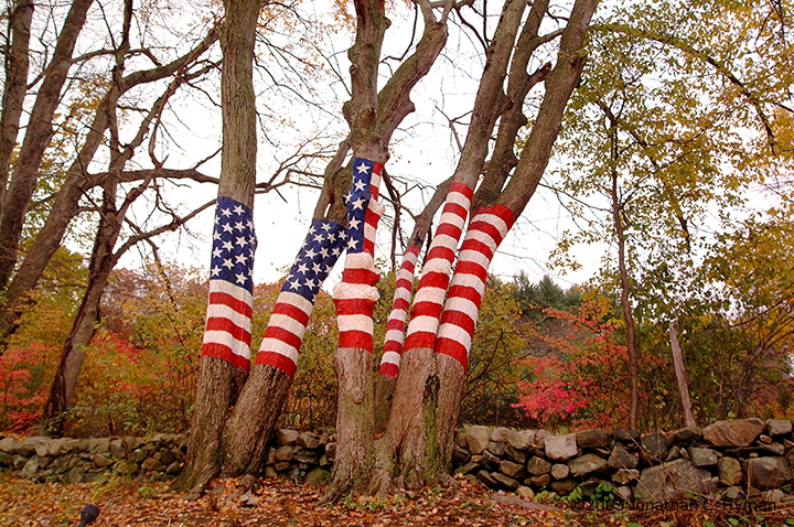 Documentary photograph of American vernacular subject