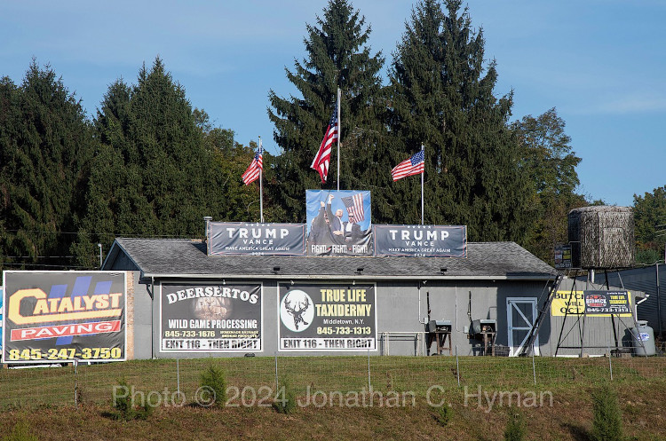 Documentary photograph of rallies, demonstrations, protests, signs and art, image 1