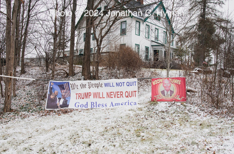 Documentary photograph of rallies, demonstrations, protests, signs and art, image 5