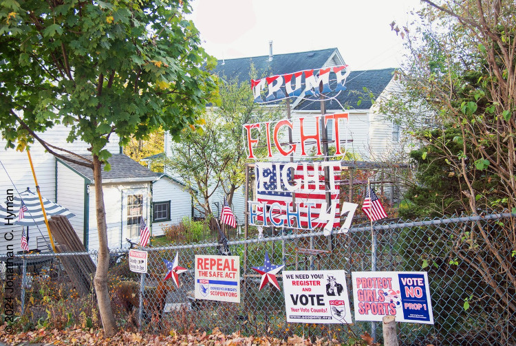 Documentary photograph of rallies, demonstrations, protests, signs and art, image 6