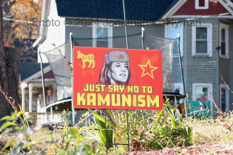 Documentary photograph of rallies, demonstrations, protests, signs and art, image 25