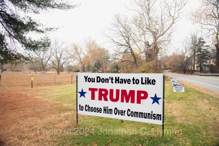 Documentary photograph of rallies, demonstrations, protests, signs and art, image 26